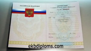 Аттестат 11 классов 2007-2010 года