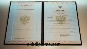 Диплом о профессиональной переподготовке 2010-2013 года